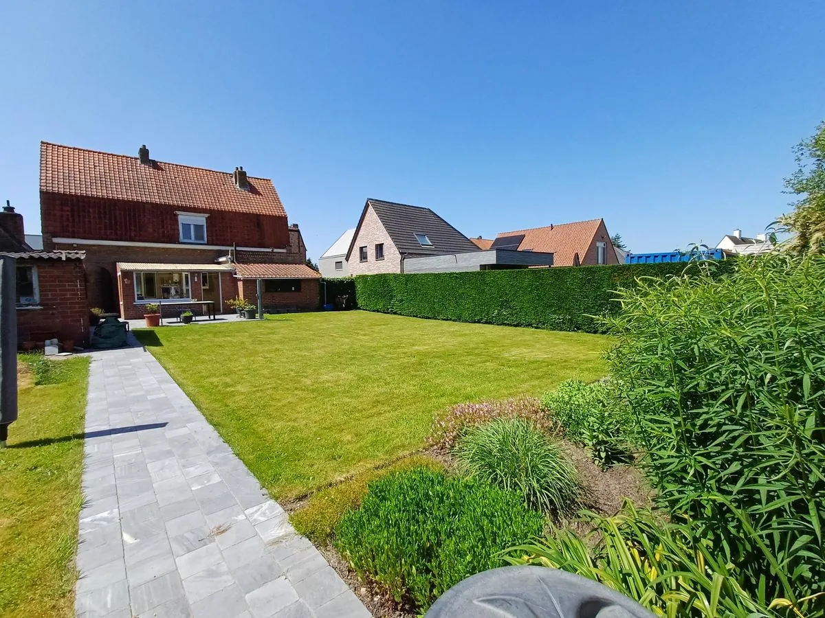 Tuin met gazon en pad met zicht op de achtergevel van de woning